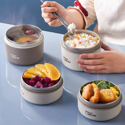 Multilayer Insulated Lunch Box with FREE Carry Bag - ThermoBox